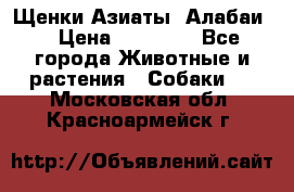 Щенки Азиаты (Алабаи) › Цена ­ 20 000 - Все города Животные и растения » Собаки   . Московская обл.,Красноармейск г.